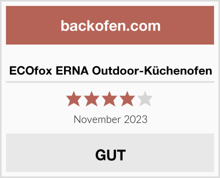  ECOfox ERNA Outdoor-Küchenofen Test