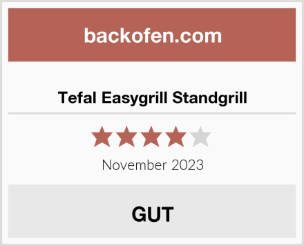  Tefal Easygrill Standgrill Test